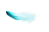 Eyeliner kestopigmentointi