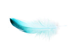 Lashliner kestopigmentointi